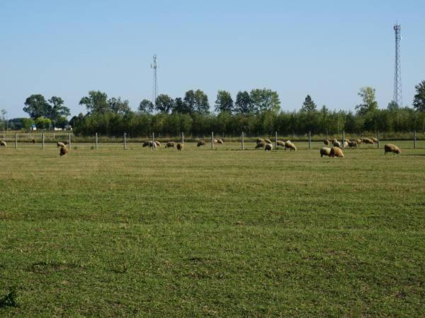 Domek Na Wsi-Agroturystyka Czyze 外观 照片