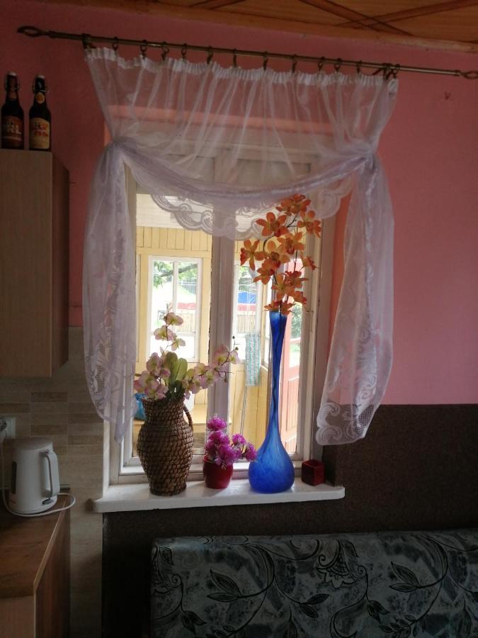 Domek Na Wsi-Agroturystyka Czyze 外观 照片